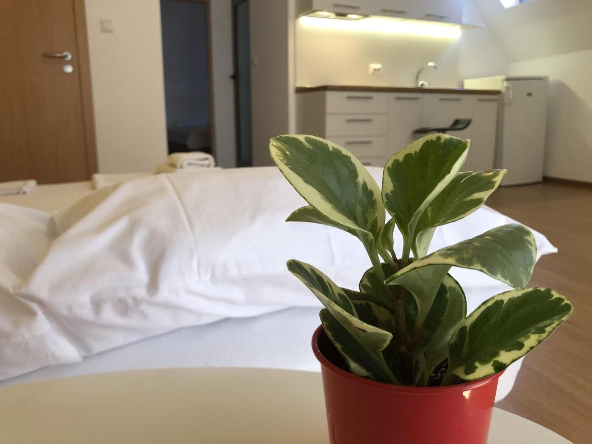 Aparthotel Elly Поморие Екстериор снимка